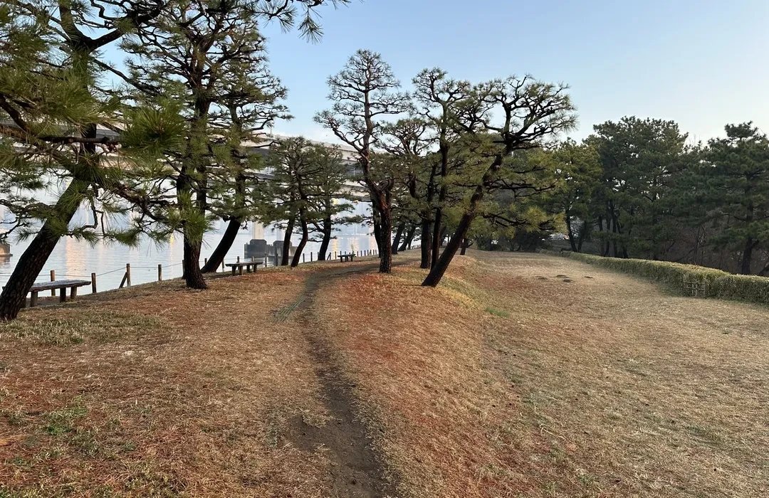 🏞️ 바닷바람 공원 (시오카제 코엔) 이미지 5